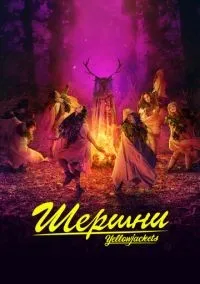 Шершни 1-3 сезон смотреть онлайн бесплатно